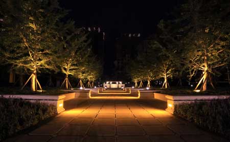 北入口轴线夜景实景图