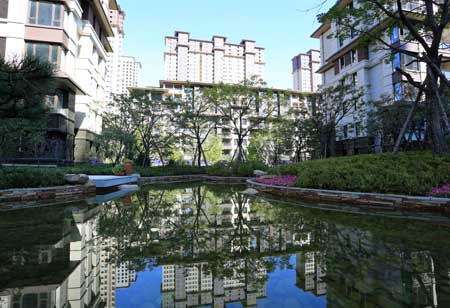 楼间水系实景图