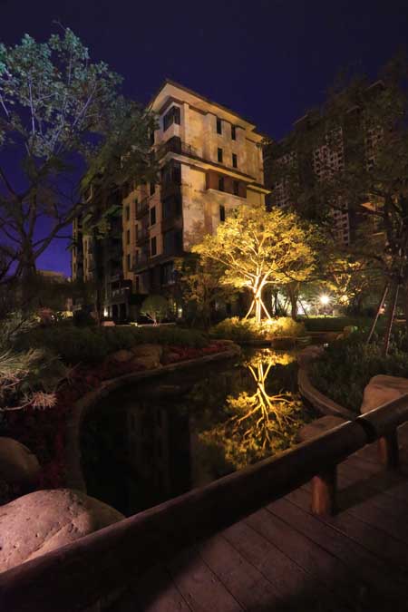 水系夜景实景图