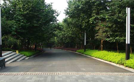 重庆协信阿卡迪亚住宅景观