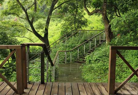 深圳华来利圣莫丽斯景观