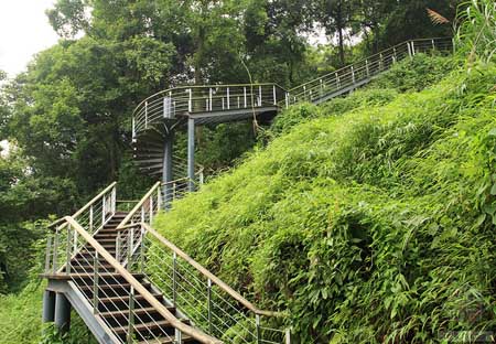 深圳华来利圣莫丽斯景观