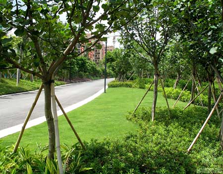 珠海中邦城市花园住宅景观