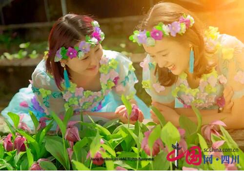 黄龙首届高山兰花节正式开幕