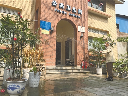 保洁大爷爱盆栽 公厕变成“植物园”