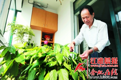 合肥蜀山区达人分享屋顶种花小窍门