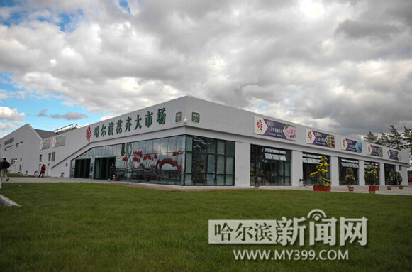哈尔滨花卉大市场新址开业 花卉价格很给力