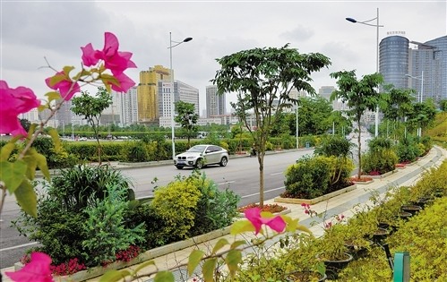 广西：南宁17条精品线路四季花开