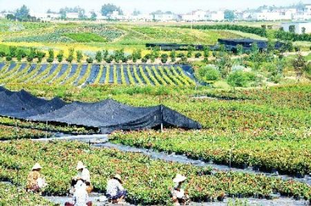 安徽：现代花卉科技产业园 打造美丽生态之城蚌埠
